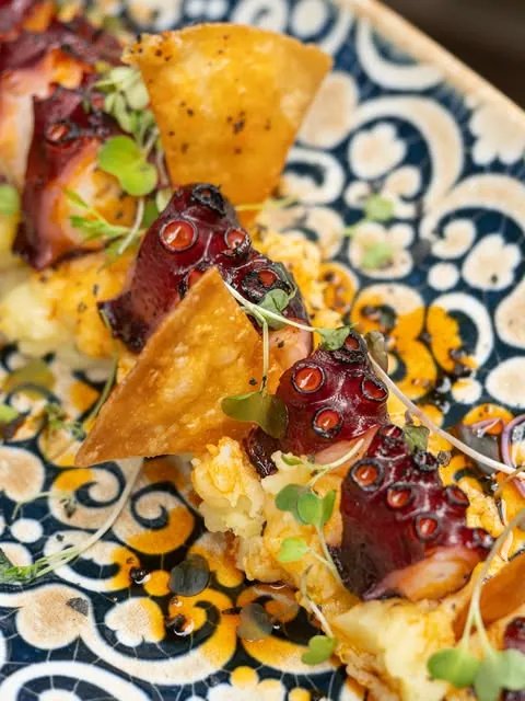 Plated octopus with potato and sprouts
